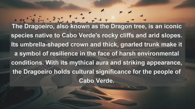 Video thumbnail for Unveiling Cabo Verde's Natural Gems: Top 10 Native Flora Revealed