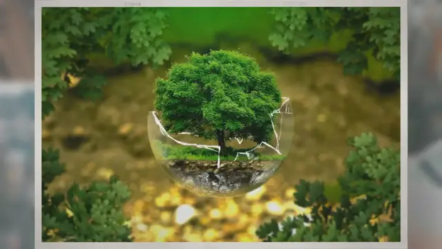 Video thumbnail for Is Glass Biodegradeable? Is It Eco-Friendly?