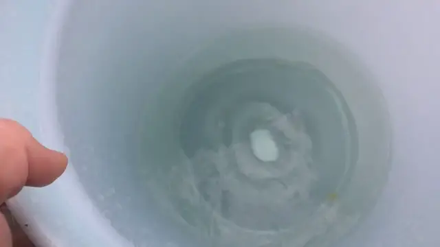 Video thumbnail for Maple Sap Running And Hellebore In Bloom Day 913 Experimental Homesteader