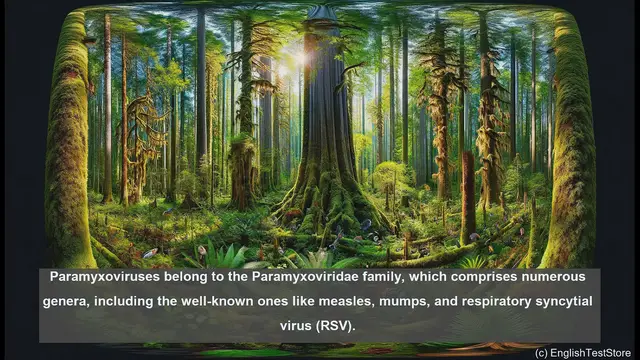 Video thumbnail for Paramyxoviruses in biology