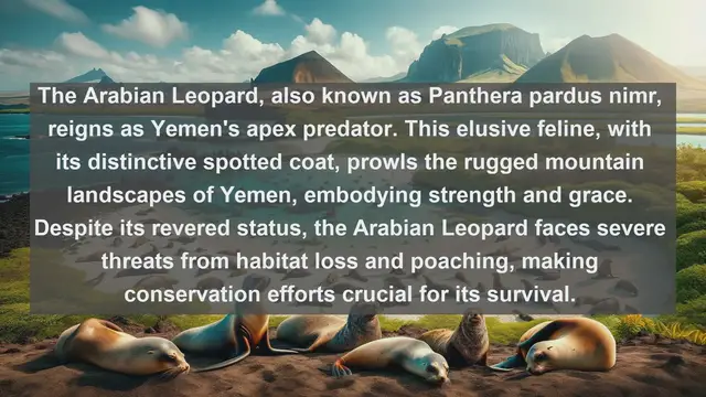Video thumbnail for Discover Yemen's Natural Treasures: Top 10 Native Animals in Yemen