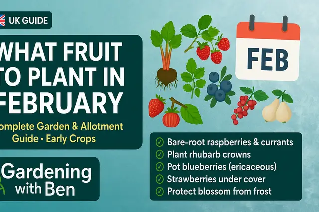 'Video thumbnail for What Fruit to Plant in February Complete Garden and Allotment Planting Guide for Early Crops'