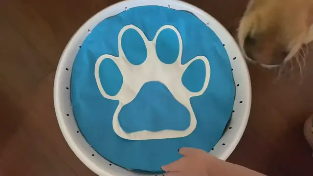 'Video thumbnail for iDig Digging Dog Toy by iFetch'