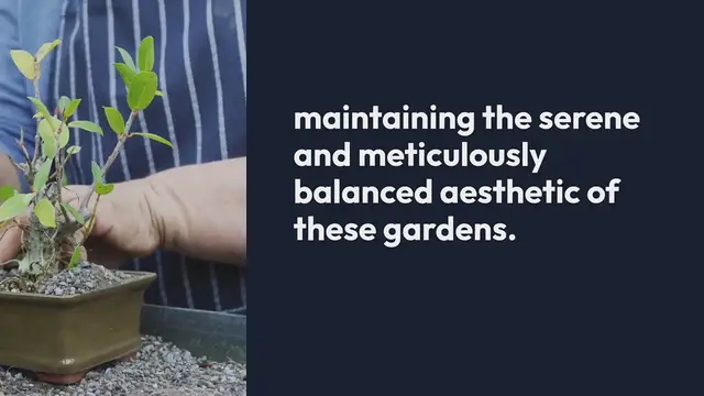 Video thumbnail for Japanese Garden