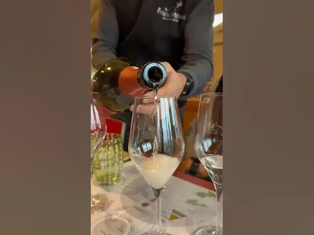 Video thumbnail for 🤩 Ho fatto la mia prima degustazione di prosecco 🥂