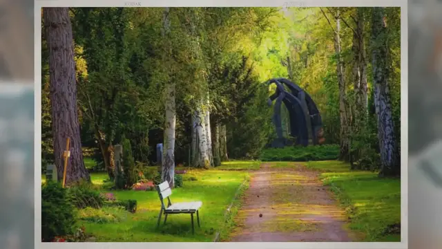 'Video thumbnail for Do You Need to Have a Funeral?'
