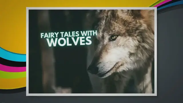 Video thumbnail for All Grimm Fairy Tales with Wolves [Good & Bad]