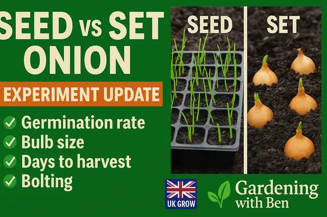 'Video thumbnail for Seed Onion vs. Set Onion Experiment Update | Growing Comparison Insights'