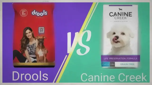 Video thumbnail for Canine Creek Vs Drools Dog Food | Which Dog Food Is The Best In 2022
