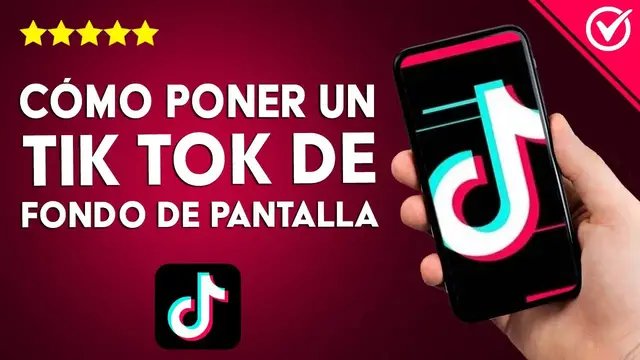 Video thumbnail for ¿Cómo poner un TIKTOK de fondo de pantalla en un móvil Android?