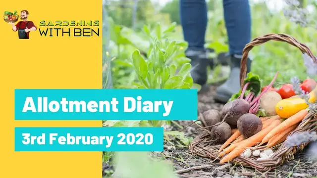 'Video thumbnail for 🎥 ✅ Allotment & Gardening Diary 🌿📔 | Updates & Exciting Progress – February 3rd 2020 🌱✨'