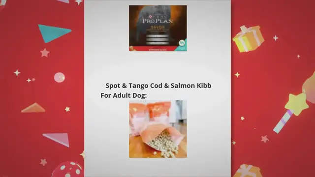 'Video thumbnail for 10-best-dry-food-for-senior-dog-with-sensitive-stomach'