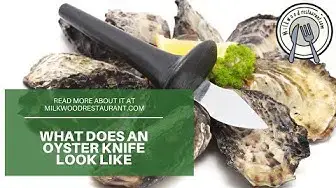 Video thumbnail for What Does An Oyster Knife Look Like? 8 Superb Reasons Why You Should Use Oyster Knife