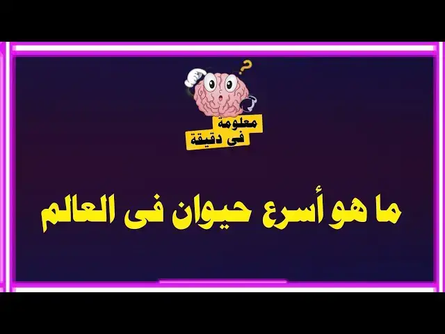 'Video thumbnail for معلومات عامة مسابقات ثقافية ودينية | اسئلة واجوبة/ ماهو أسرع حيوان فى العالم'