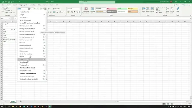 Video thumbnail for How To Enter Text in Excel