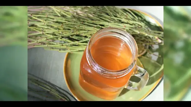 Video thumbnail for Mormon Tea, Amazing 8 Facts About This Beverage
