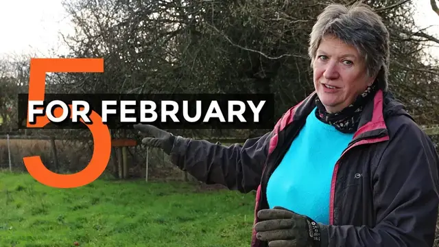 'Video thumbnail for 5 Fantastic Ways to Support Wildlife in Garden in February'