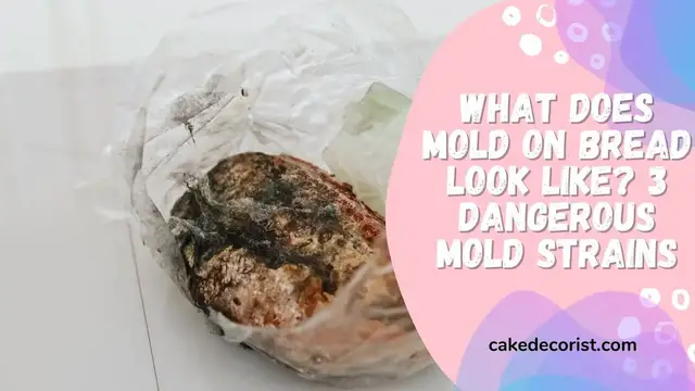 Video thumbnail for What Does Mold On Bread Look Like 3 Dangerous Mold Strains