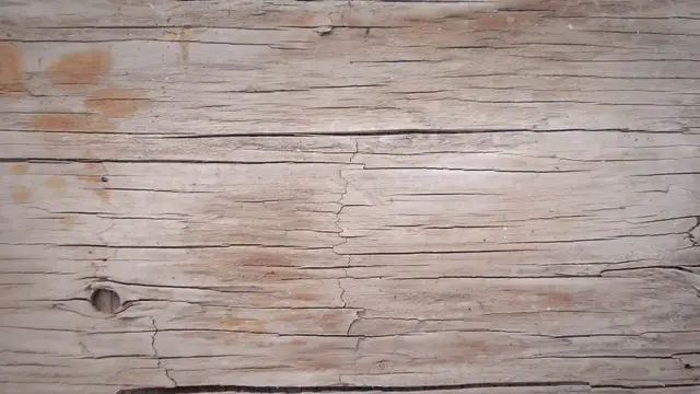 Video thumbnail for Marketing Strategy of Nestlé