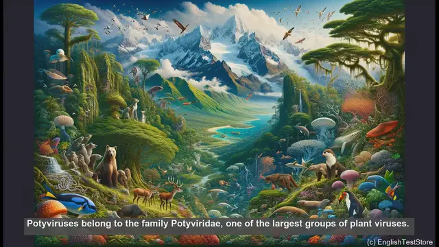 Video thumbnail for Potyviruses in biology