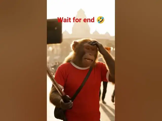 'Video thumbnail for Viral Monkey Madness🤣🤣🤣#trending#viral#shorts'