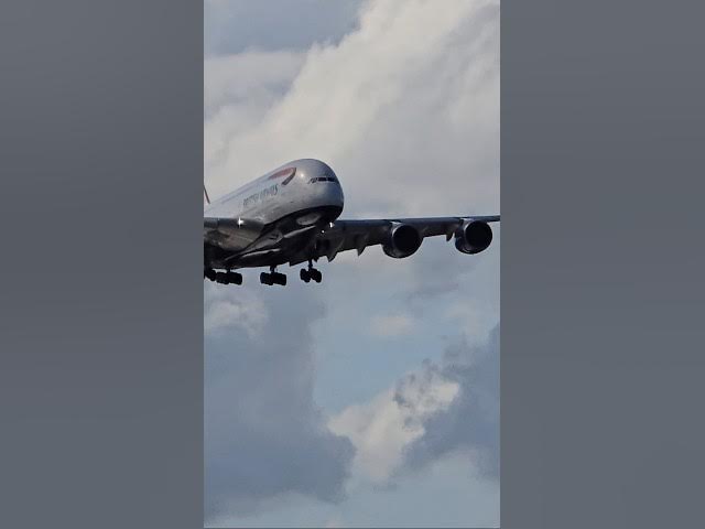 Video thumbnail for LAS DOS BESTIAS DE LOS CIELOS 😱