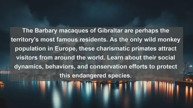 Video thumbnail for Exploring Gibraltar's Wildlife Wonders: Top 10 Native Animals in The Rock