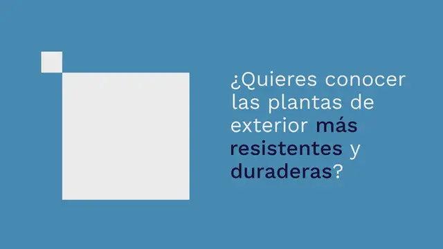 Video thumbnail for Aquí están las plantas de exterior más resistentes de todas: el ranking