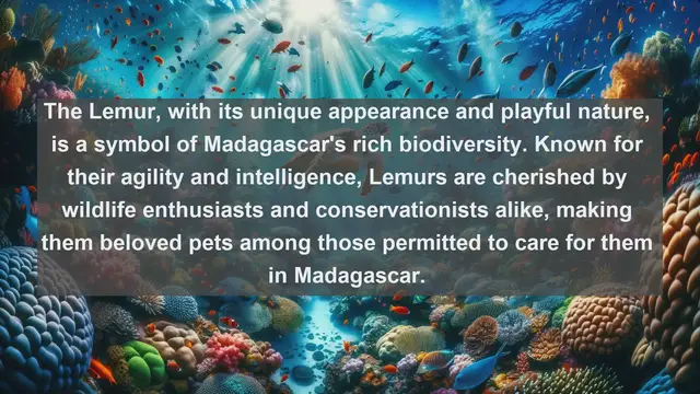 Video thumbnail for Discover Madagascar's Most Beloved Companions: Top 10 Favorite Pets Unveiled