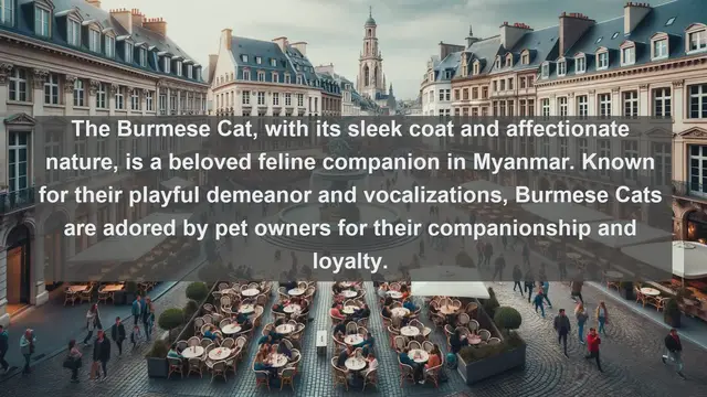 Video thumbnail for Discover Myanmar's Most Cherished Companions: Top 10 Favorite Pets Unveiled