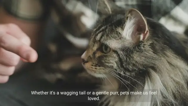 Video thumbnail for Pets for Life: Celebrating the Lifelong Bond Between Pets
