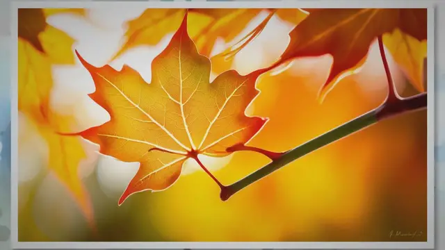 Video thumbnail for Will Vinegar Harm Maple Seedlings? The Surprising Answer | SARPO