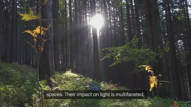 Video thumbnail for Trees Influencing Garden Light