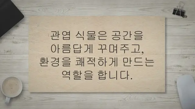 Video thumbnail for 관엽 식물 이름이 궁금하세요? 집에서 정원을 만드세요!