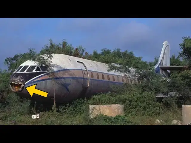 Video thumbnail for Hikers Stumble Upon Plane in the Woods, Then They Find Out Who Left It There