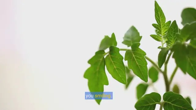 Video thumbnail for Seed pun: Hilarious plant-based wordplay