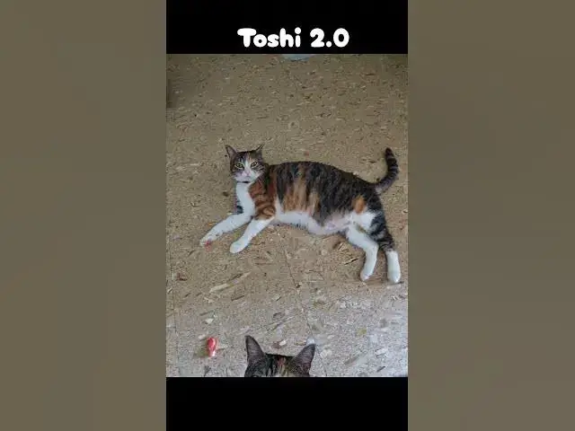 Video thumbnail for Toshi 2.0