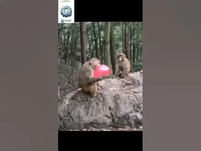 Video thumbnail for New Instagram Funny Video 😂 I Trending Video 😂 I New Comedy Video 😂 I part 4 😂 🤣