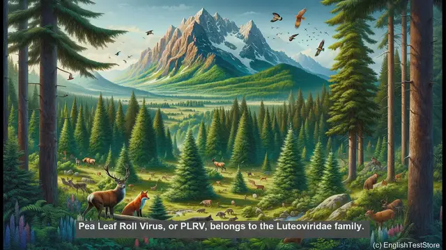 Video thumbnail for Pea leaf roll virus in biology