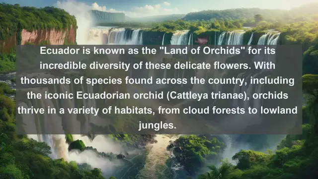 Video thumbnail for Unveiling Ecuador's Natural Marvels: Top 10 Native Plants You Need to See
