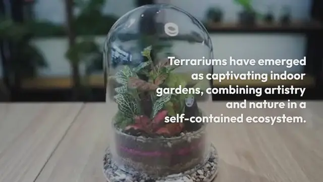 Video thumbnail for 20 Best Terrarium Shops in Singapore [2024]
