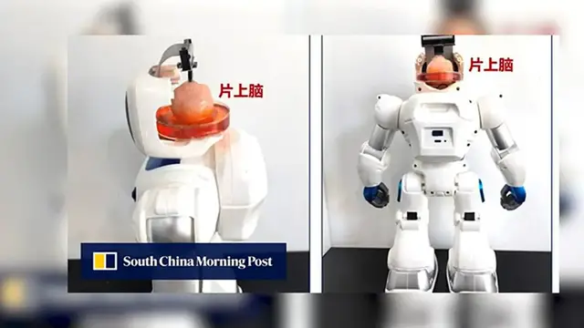 Video thumbnail for New AI Robots With Human Brain Soon...