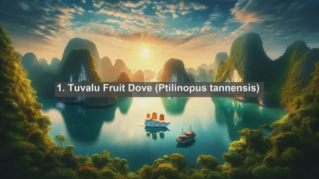 Video thumbnail for Exploring Tuvalu's Biodiversity: Top 10 Native Fauna Species