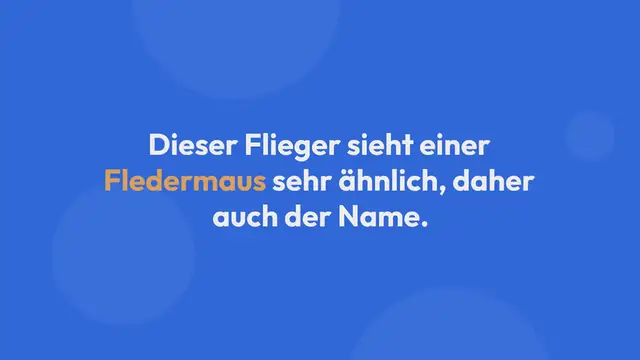 Video thumbnail for Fledermaus Papierflieger – The Bat: