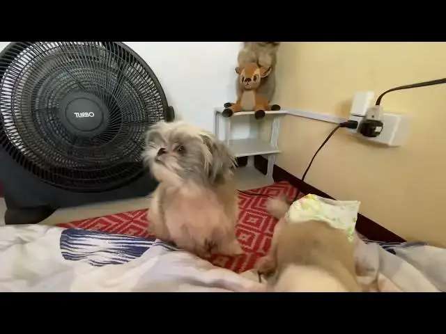 Video thumbnail for Welcome to our new home.