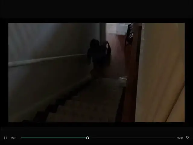 Video thumbnail for It came down to a photo finish!
