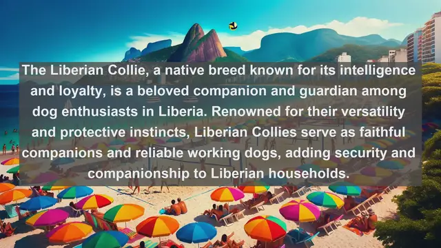 Video thumbnail for Liberia's Most Beloved Companions: Top 10 Favorite Pets Revealed