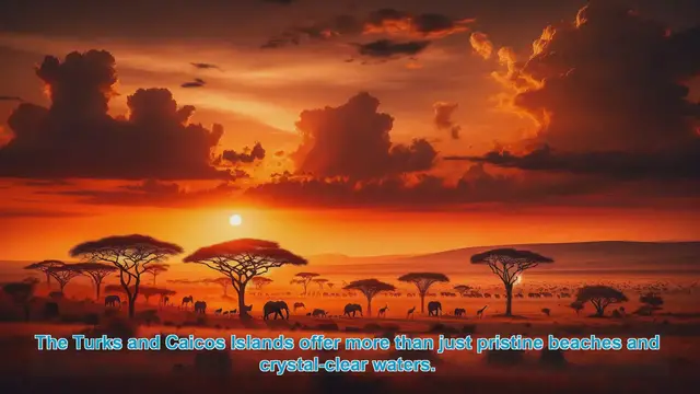 Video thumbnail for Exploring the Cultural Gems of Turks and Caicos