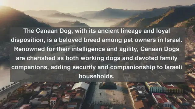 Video thumbnail for Discover Israel's Most Beloved Companions: Top 10 Favorite Pets Revealed