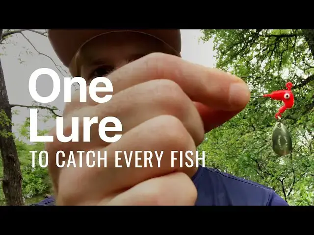 'Video thumbnail for One Lure To Catch Every Fish'
